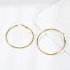 201 Stainless Steel Hoop Earrings LS-EJEW-F188-24G-C-1
