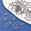 Tarnish Resistant 316L Surgical Stainless Steel Leverback Earring Findings STAS-E194-03P-5