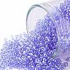 TOHO Round Seed Beads X-SEED-TR11-0107-1