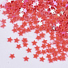 Ornament Accessories PVC-T021-12E-2