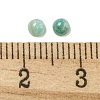 Natural Amazonite Cabochons G-Q173-01A-04-3
