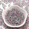 Glass Seed Beads SEED-A032-01C-2