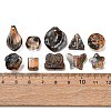 20G Handmade Lampwork Beads LAMP-L087-02B-4