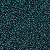 MIYUKI Round Rocailles Beads SEED-X0054-RR2406-3