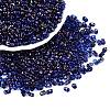 Picasso Spray Painted Glass Seed Beads SEED-T006-04-8-3