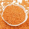 Baking Paint Glass Seed Beads SEED-S042-05A-30-2