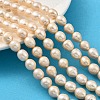 Natural Cultured Freshwater Pearl Beads Strands PEAR-I007-01E-05B-1
