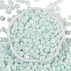 Opaque Colours Luster Glass Seed Beads SEED-P008-01C-04-3