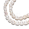 Natural Cultured Freshwater Pearl Beads Strands PEAR-S017-001-4