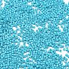 Baking Paint Glass Seed Beads X-SEED-S042-05B-58-3