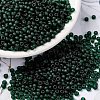 MIYUKI Round Rocailles Beads SEED-X0055-RR0156F-1