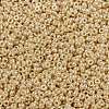 MIYUKI Round Rocailles Beads SEED-JP0010-RR0442-3