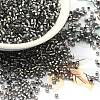 Glass Seed Beads X-SEED-S042-04B-31-1