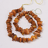 Natural Shell Beads Strands PBB226Y-1-2