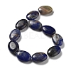 Natural Sodalite Beads Strands G-P528-M14-01-3