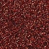 MIYUKI Delica Beads SEED-X0054-DB0601-3