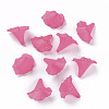 Transparent Acrylic Beads BSF796-C16-4