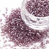 Glass Bugle Beads SEED-S032-11A-116-1
