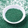 MIYUKI Delica Beads SEED-JP0008-DB2127-2