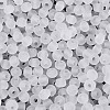 FGB Frosted Transparent Glass Seed Beads SEED-N013-04A-01-3