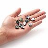 Abalone Shell/Paua Shell Beads LS-SHEL-T005-01-5