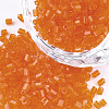 Grade A Glass Seed Beads SEED-S022-02D-1