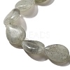 Natural Labradorite Beads Strands G-P561-B05-01-4