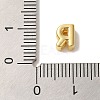 Rack Plating Brass Pendants X-KK-L220-001G-R-3
