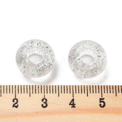 Transparent Acrylic European Beads TACR-P009-A01-01-1