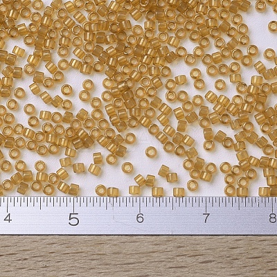 MIYUKI Delica Beads SEED-X0054-DB0119-1