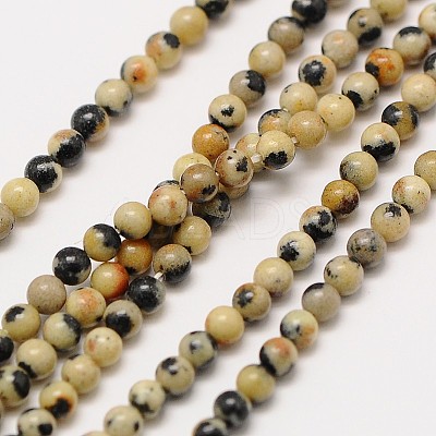 Natural Gemstone Dalmatian Jasper Round Beads Strands G-A130-2mm-20-1