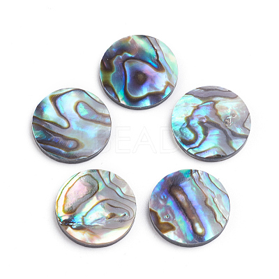 Natural Abalone Shell/Paua Shell Cabochons X-SSHEL-L017-001-1