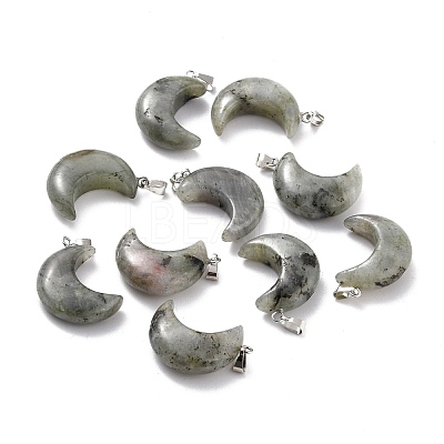 Natural Labradorite Pendants G-Z022-02A-1