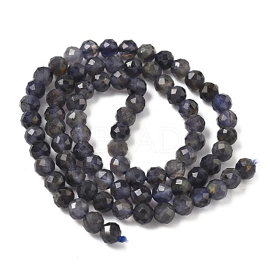 Natural Iolite Beads Strands G-J400-E05-02B-1