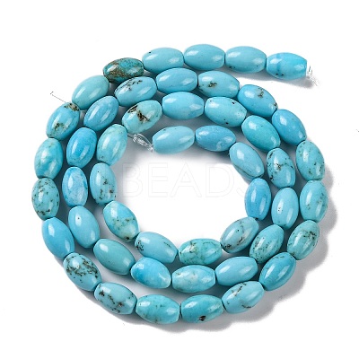 Natural Howlite Beads Strands G-H025-02B-1