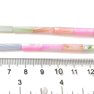 Rainbow Color Dyed Natural Freshwater Shell Beads Strands SHEL-G018-02B-1
