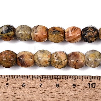 Natural Crazy Agate Beads Strands G-Q608-08A-05-1