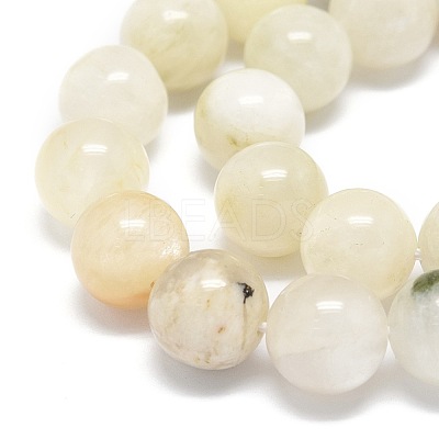 Natural Rainbow Moonstone Beads Strands G-O201A-17B-1