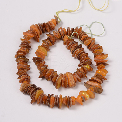 Natural Shell Beads Strands PBB226Y-1-1