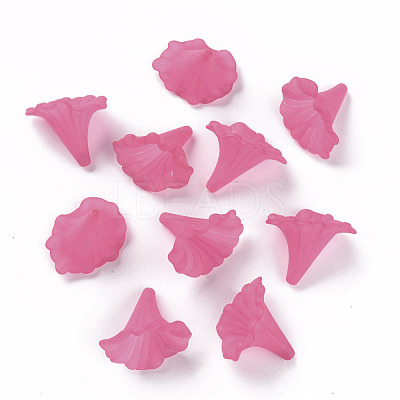Transparent Acrylic Beads BSF796-C16-1