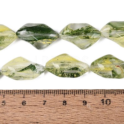 Handmade Lampwork Beads Strands LA-N046-02F-1