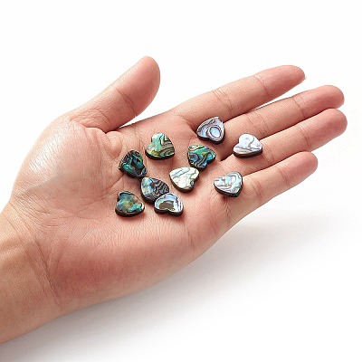 Abalone Shell/Paua Shell Beads LS-SHEL-T005-01-1