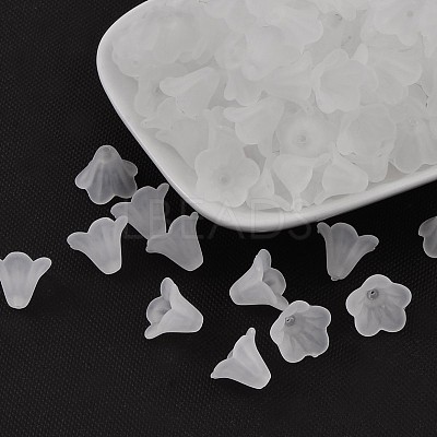 Frosted Acrylic Beads LS-X-PL692-13-1
