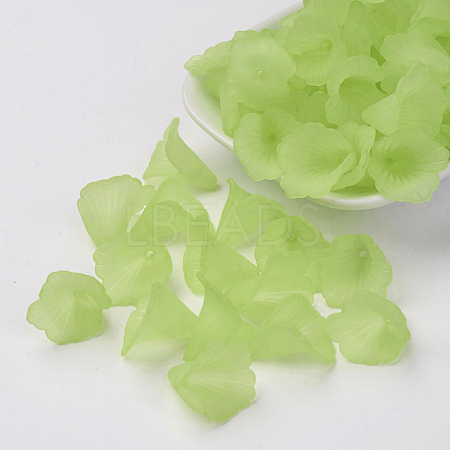 Transparent Acrylic Bead Caps X-PL551-C18-1