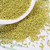 MIYUKI Delica Beads SEED-MY11-DB0424-1