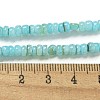 Dyed Natural Freshwater Shell Beads Strands BSHE-G039-07C-4