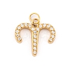 316 Stainless Steel Micro Pave Cubic Zirconia Pendants STAS-K284-01A-G-1