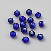 Handmade Lampwork Beads LAMP-TAC0006-14B-01-1