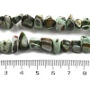 Dyed Natural Trochus Shell Beads Strands BSHE-Z006-01A-4