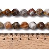Natural Gobi Agate Beads Strands G-Z119-A36-03-6